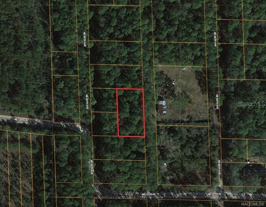 0000 NE 65th Ct., Citra, FL 32113