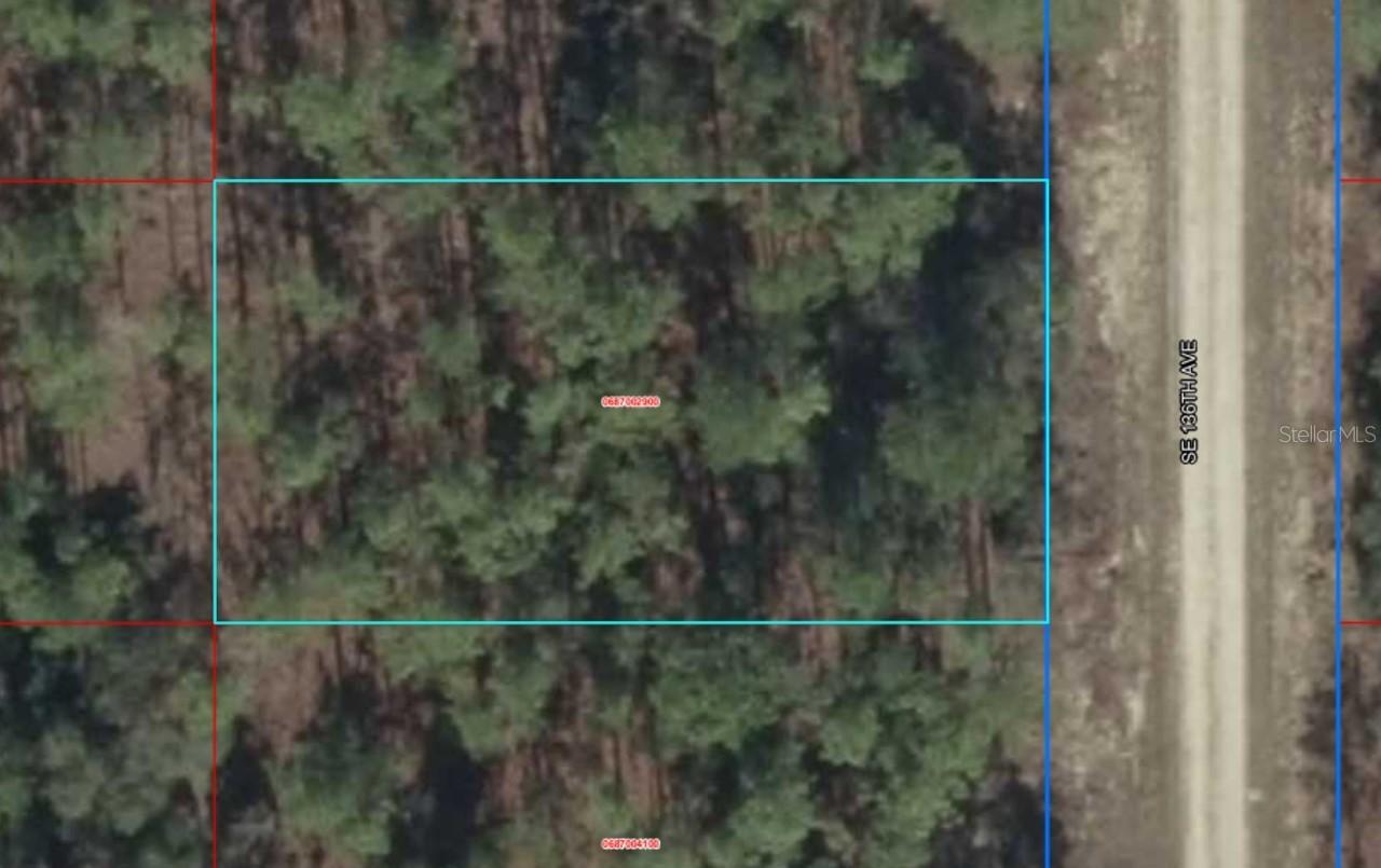 Lot 10 SE 136th Ave., Dunnellon, FL 34431