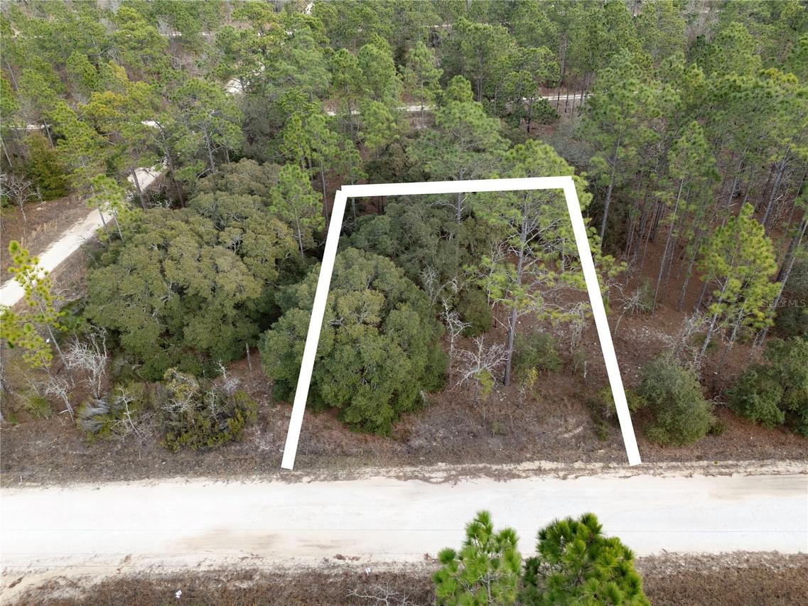 NE Tbd Ne 150th Ave., Williston, FL 32696