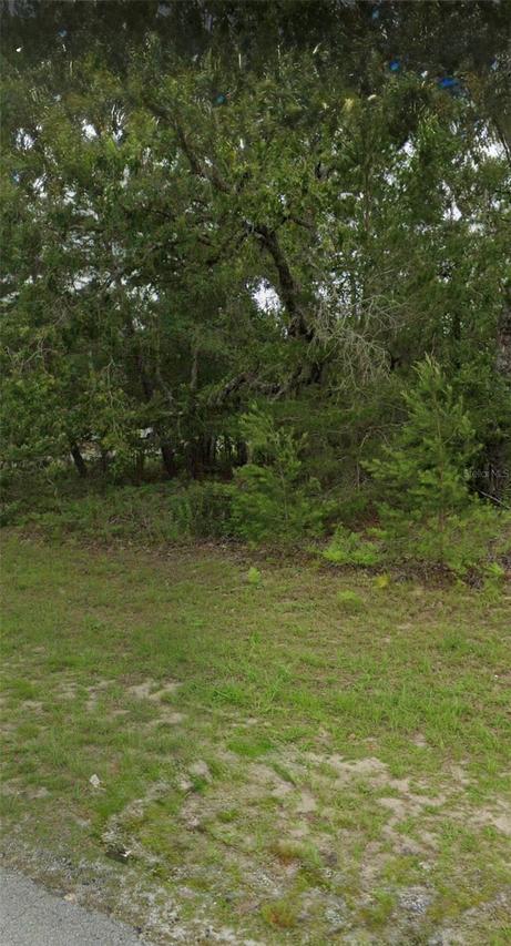 TBD 55th Court Rd, Ocala, FL 34473