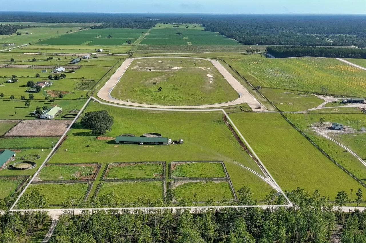 2351 Ne 120 Avenue, Williston, FL 32696