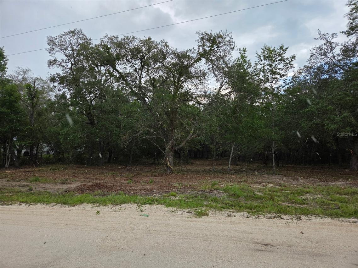 21531 SE 68th Ln., Morriston, FL 32668