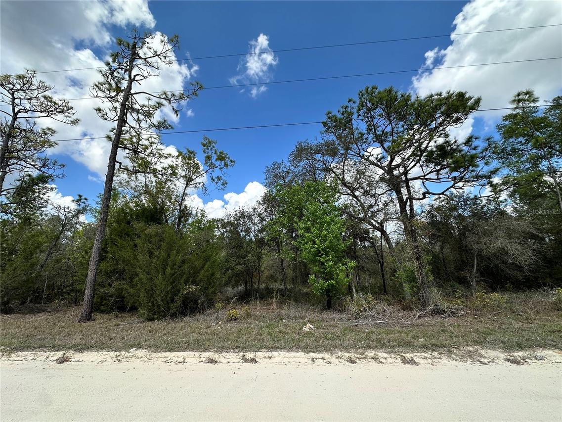 tbd NE 63rd Pl., Williston, FL 32696