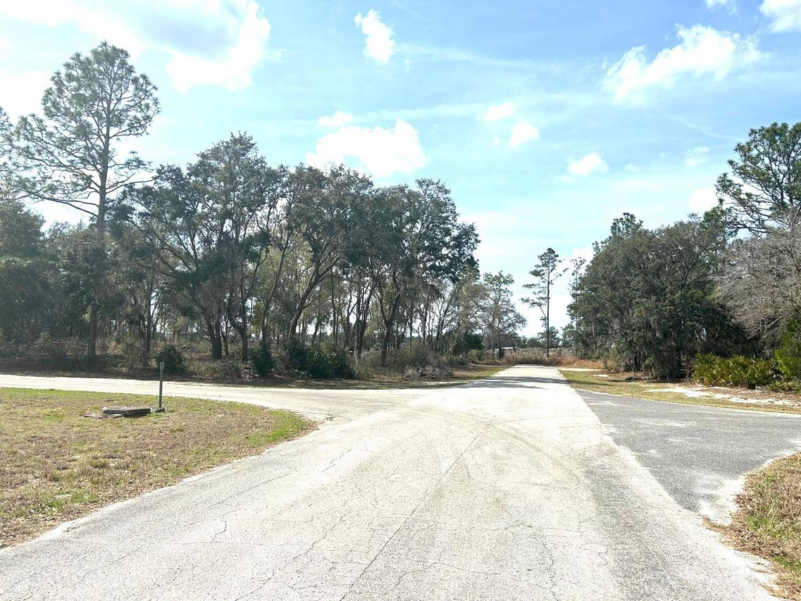 SW 163rd Street Rd., Ocala, FL 34473