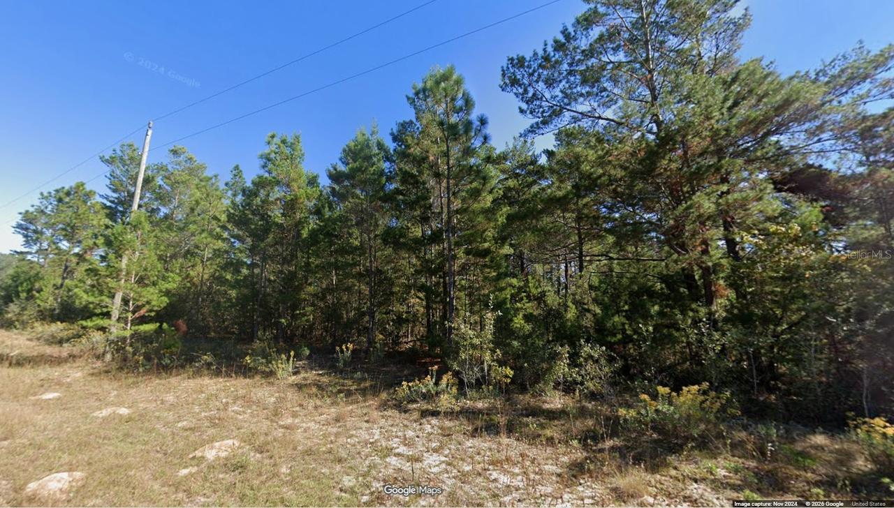 Lot 5 Unit 1 Blk 94 Pinehurst Ave., Chipley, FL 32428