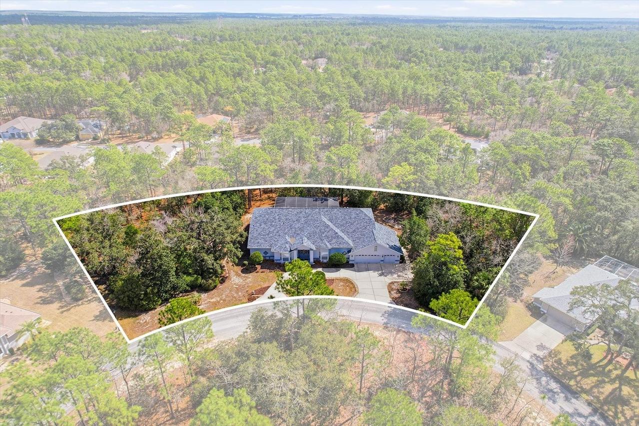 16 Drypetes Ct., Homosassa, FL 34446