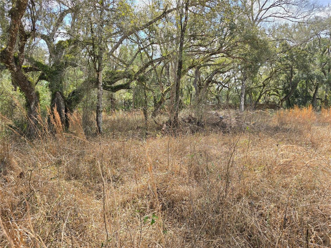 6436 Yam St., Webster, FL 33597