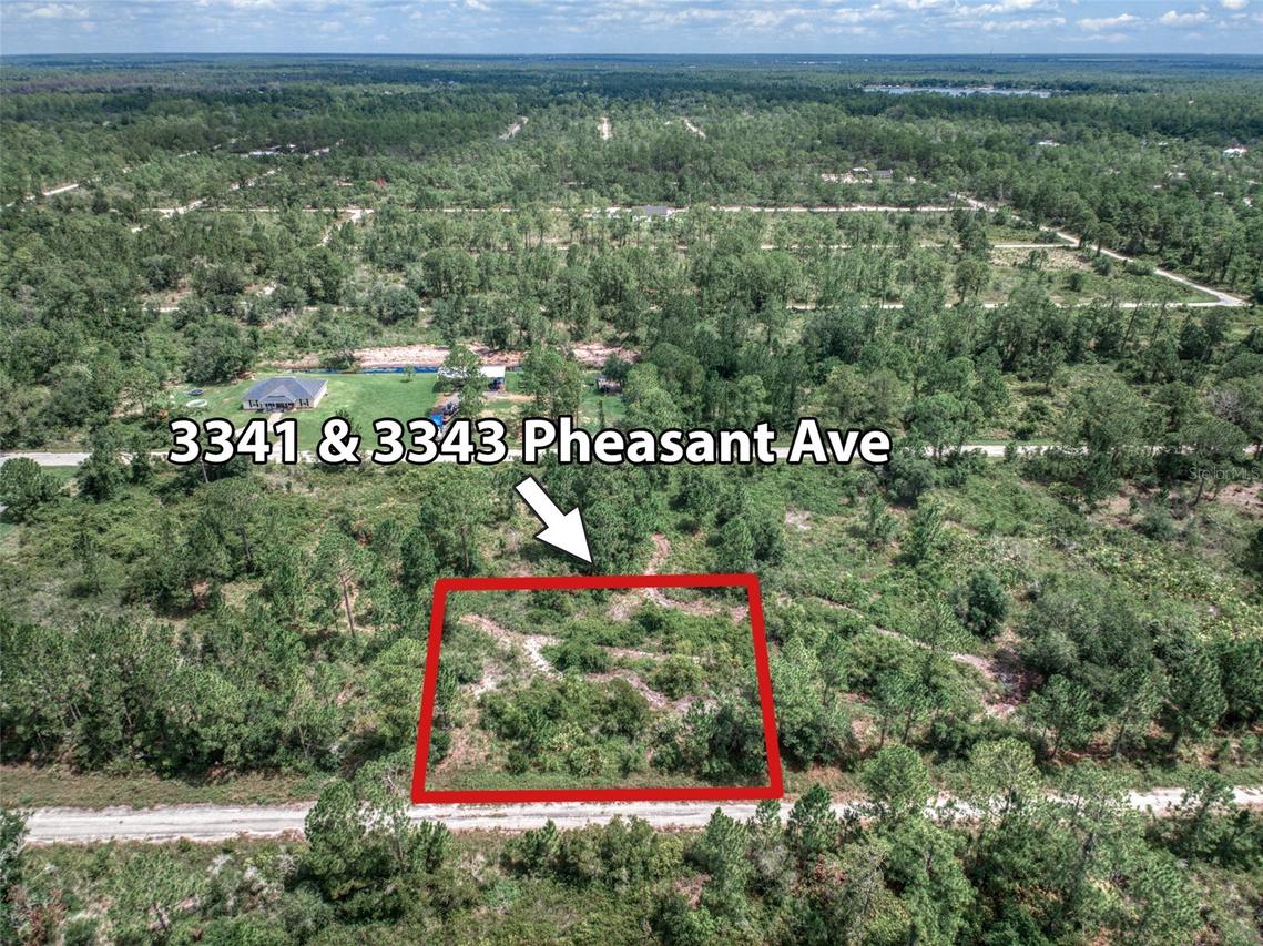 3341 & 3343 Pheasant Ave., Lake Placid, FL 33852