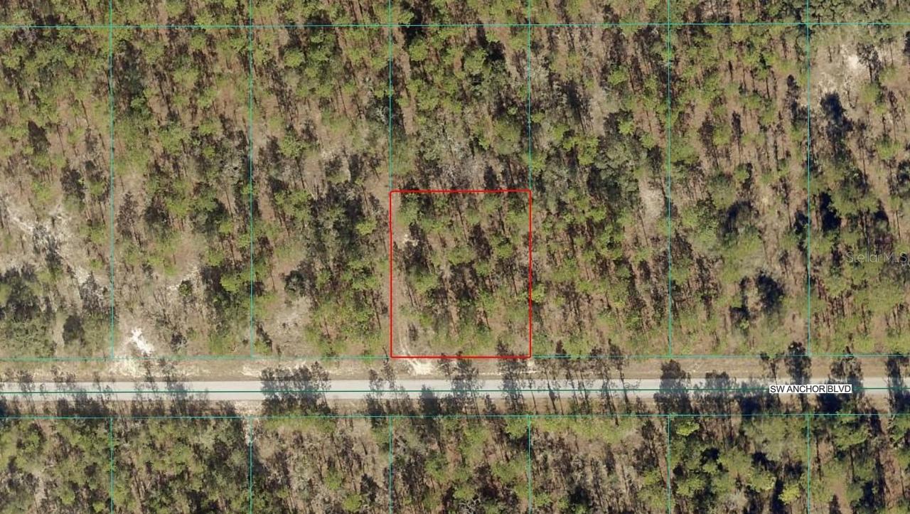 TBD LOT 17 SW Anchor Blvd., Dunnellon, FL 34431