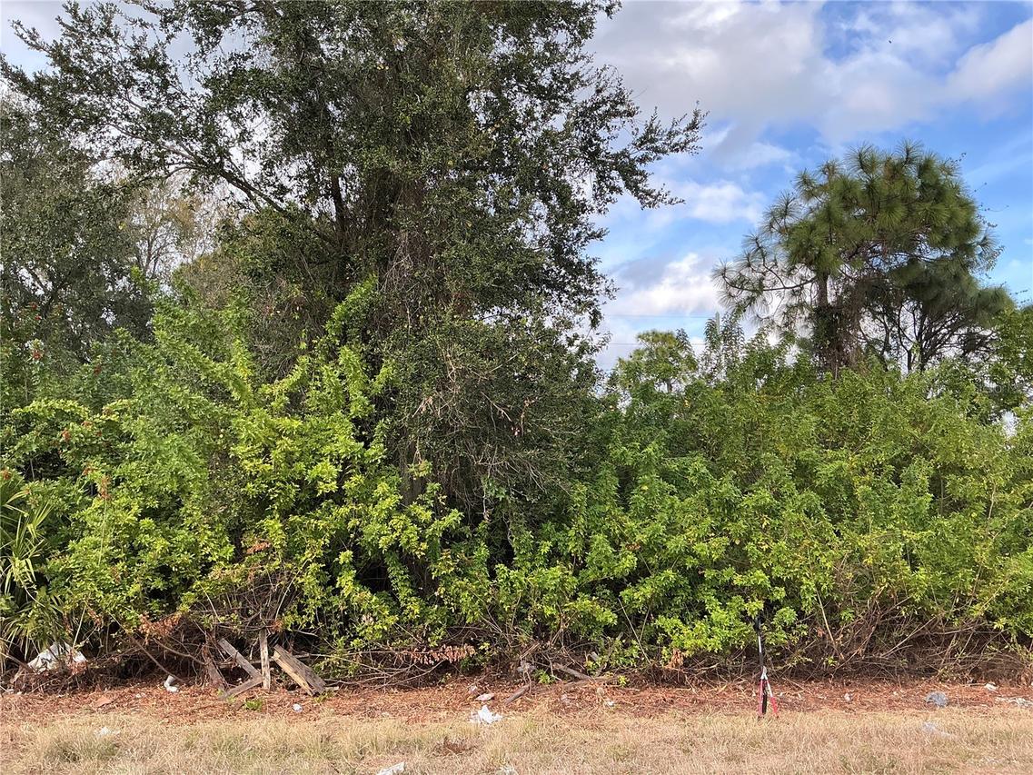 52 Gene Ave., Lehigh Acres, FL 33976