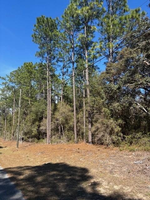 TBA SW 207 Ct. #4, Dunnellon, FL 34431