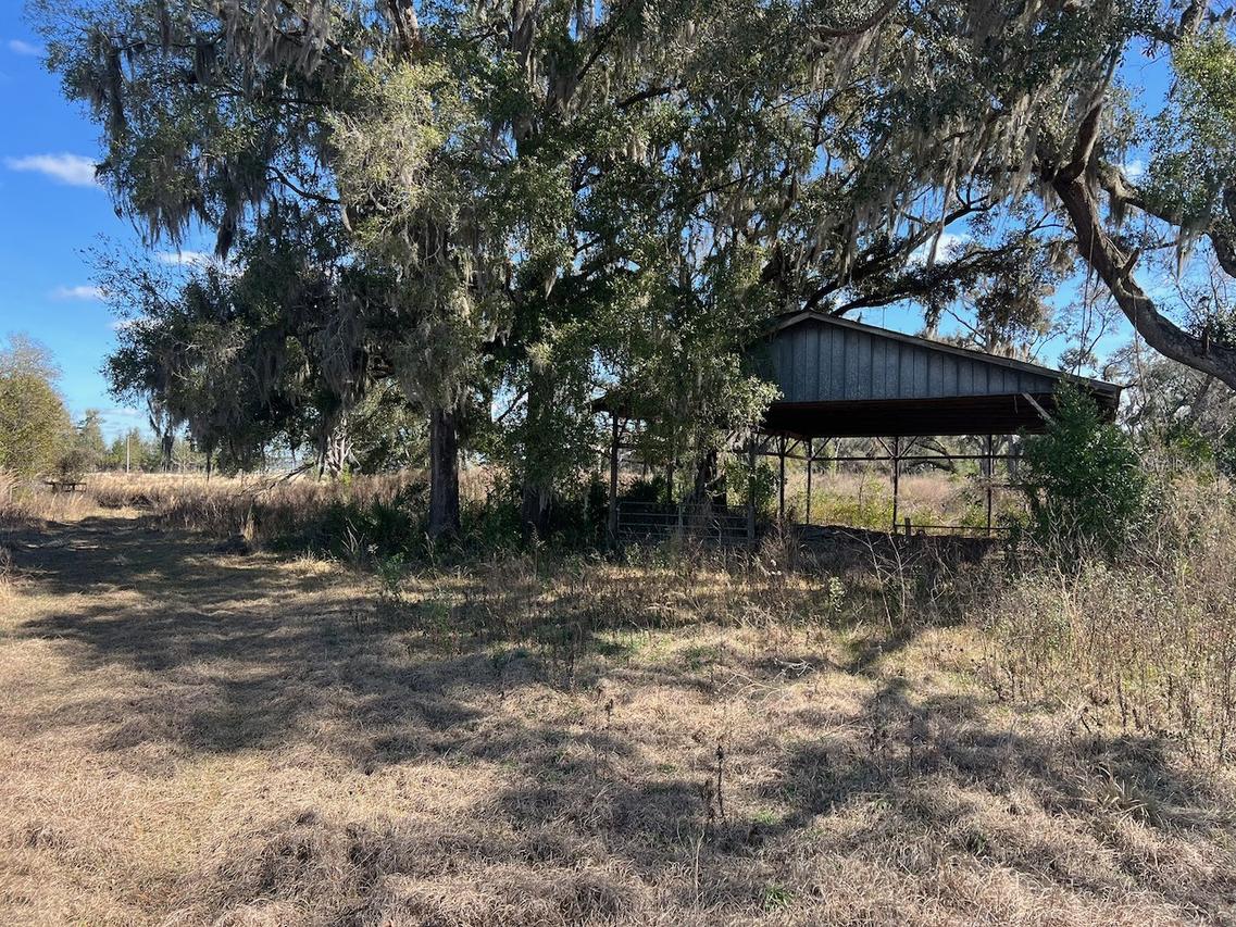 2351 NE Highway 41, Williston, FL 32696