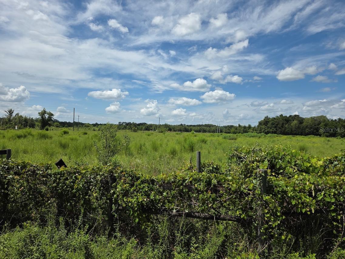 2351 NE Highway 41, Williston, FL 32696
