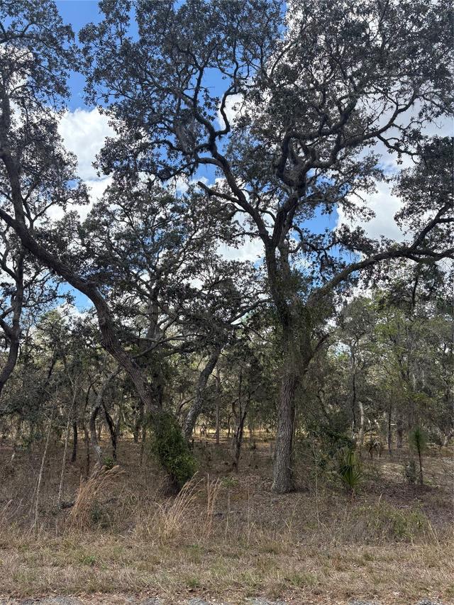 TBA SE 131st Ter., Dunnellon, FL 34431