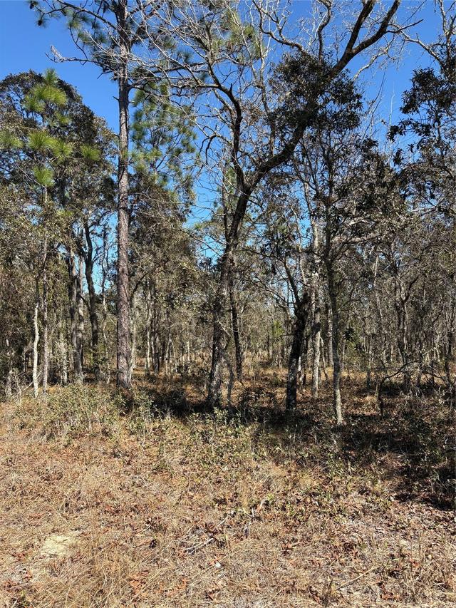 TBA SE 135th Ct., Dunnellon, FL 34431