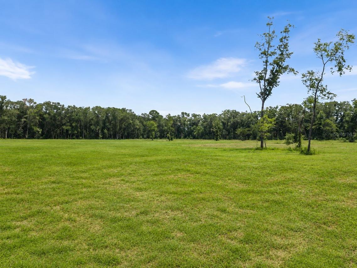 17807 SW 83rd Ave., Archer, FL 32618
