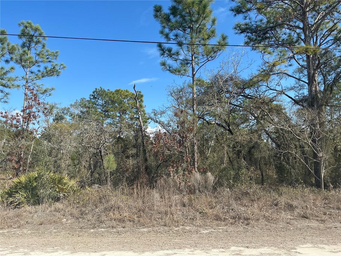 11072 Hyde St., Weeki Wachee, FL 34614