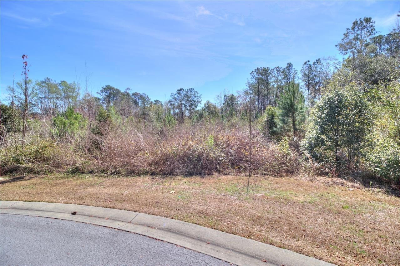 TBD SE 41st St., Ocala, FL 34480
