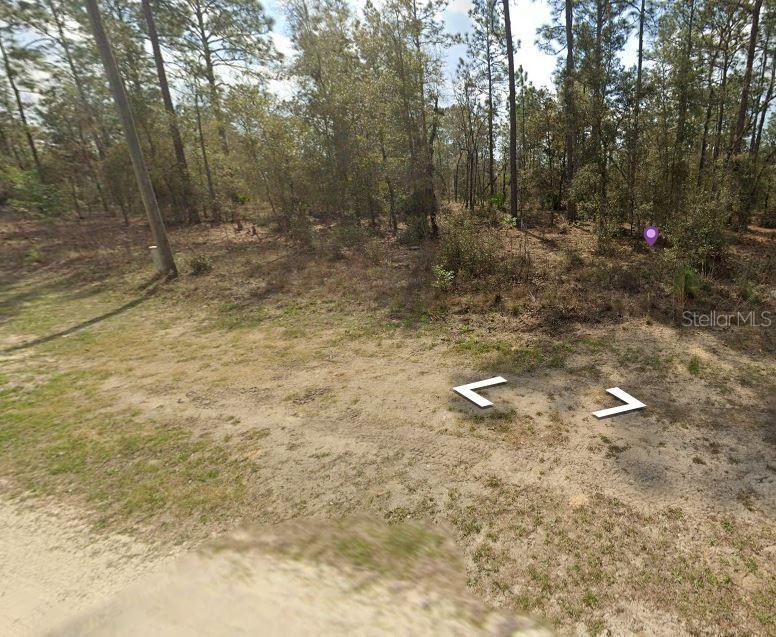 SW 28 Ln., Ocala, FL 34481