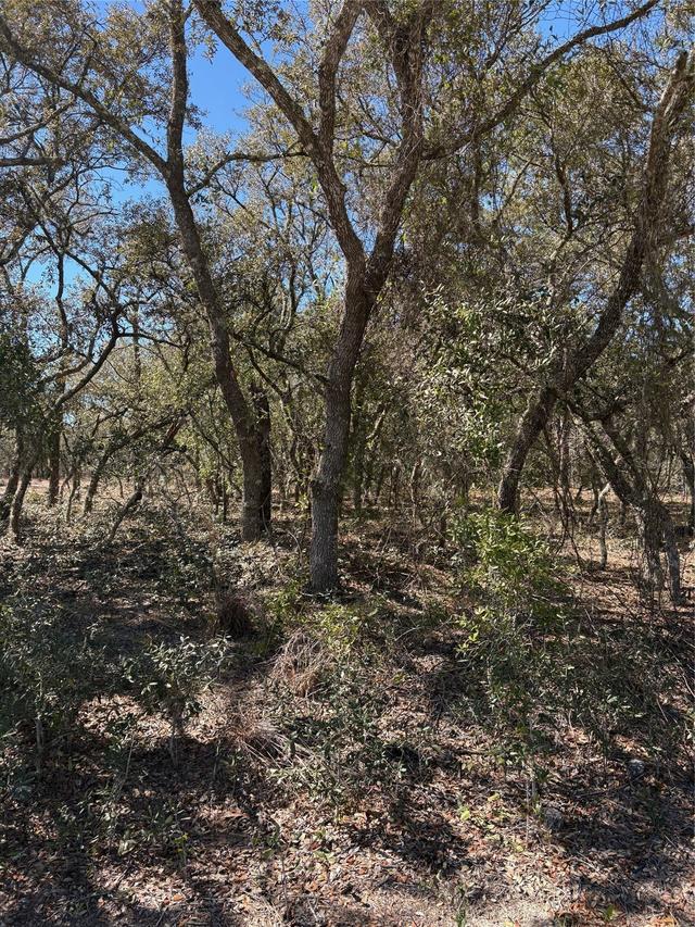 TBA SE Se 132nd Court Ct., Dunnellon, FL 34431