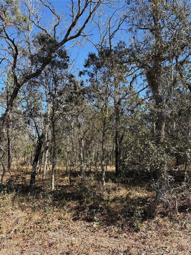 TBA SE 134th Terrace Ter., Dunnellon, FL 34431