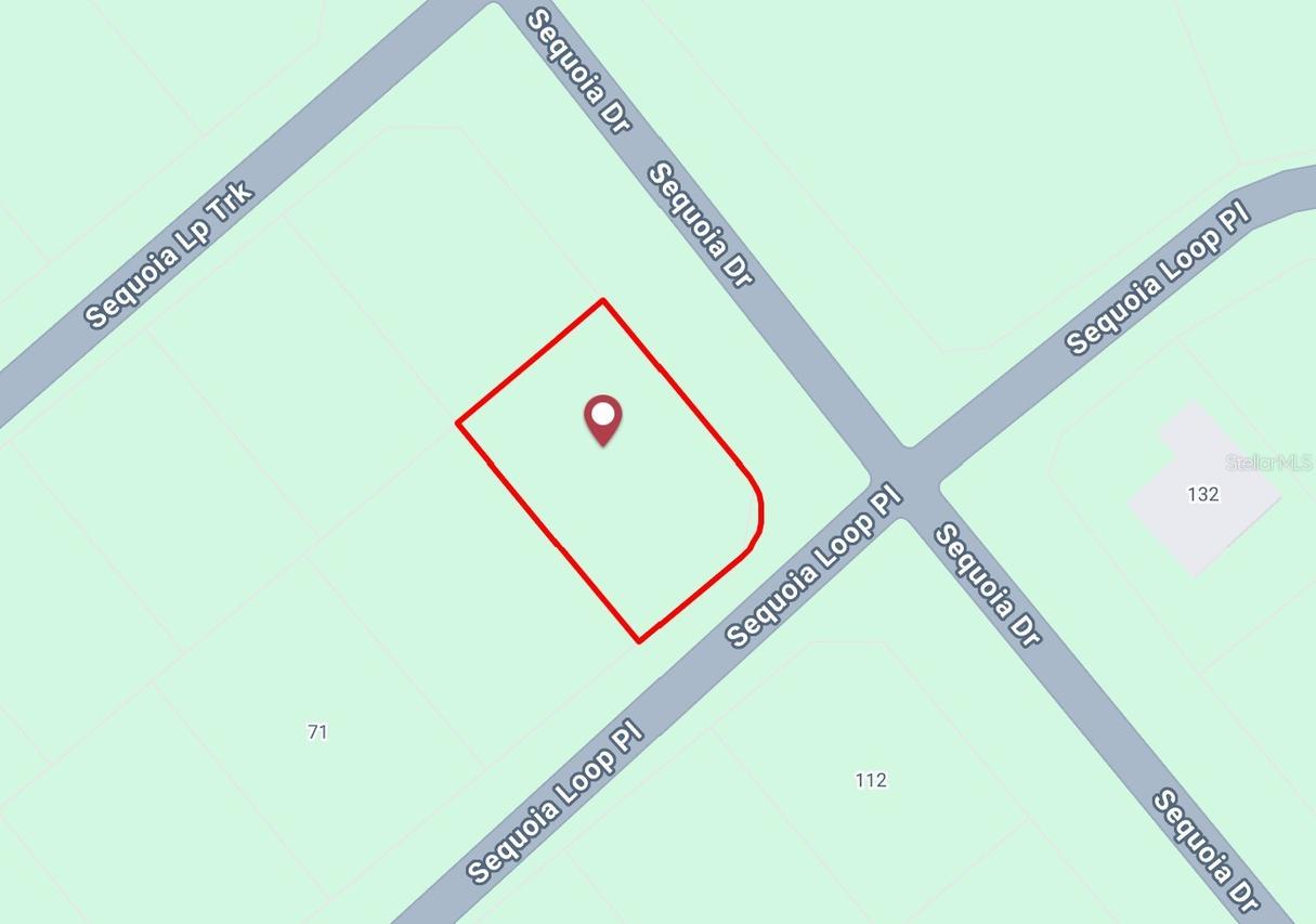 Sequoia Loop, Ocklawaha, FL 32179