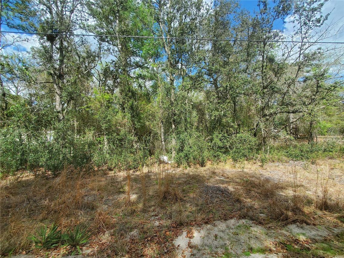 TBD NE 172nd Pl., Fort Mc Coy, FL 32134