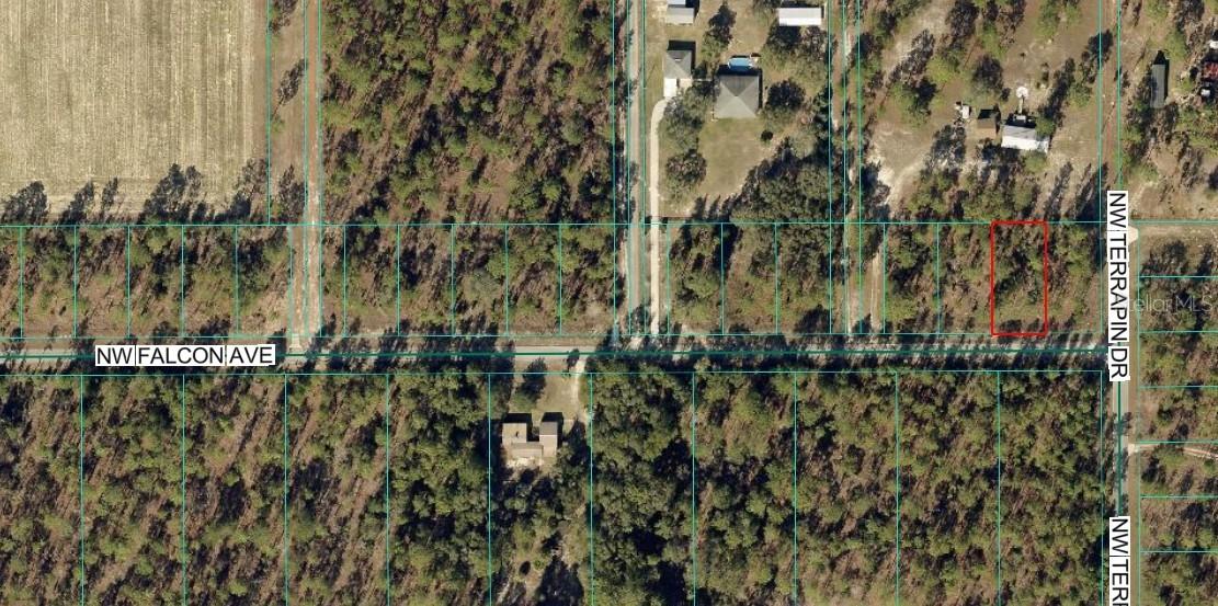 TBD NW Tbd Nw Falcon Ave, Lot 33, Dunnellon, FL 34431