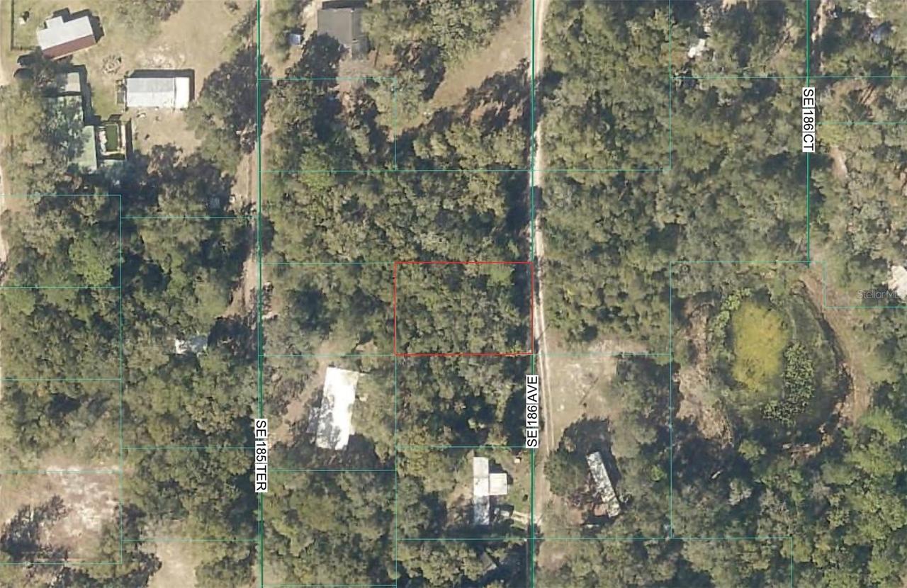 TBD SE 186th Ave., Ocklawaha, FL 32179