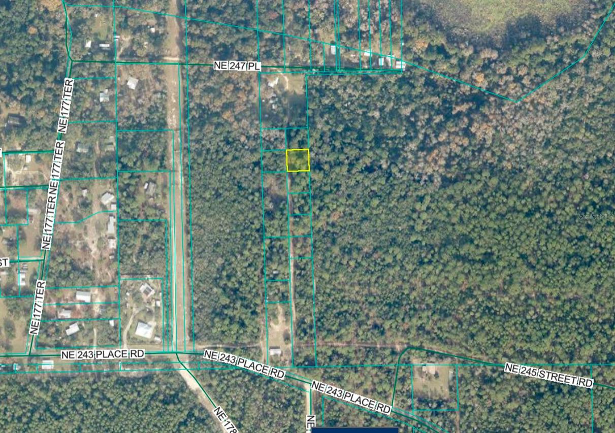 TBD No Situs, Fort Mc Coy, FL 32134