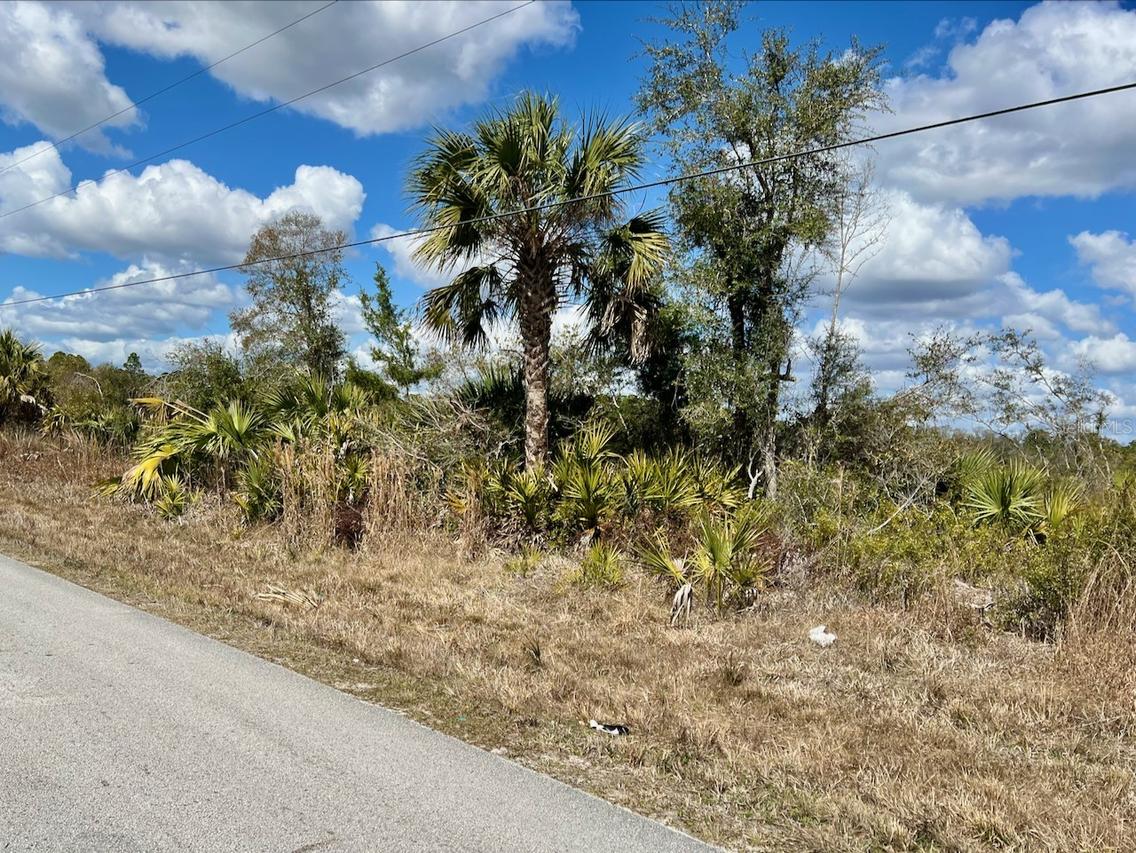 Shiloh Rd., Cedar Key, FL 32625