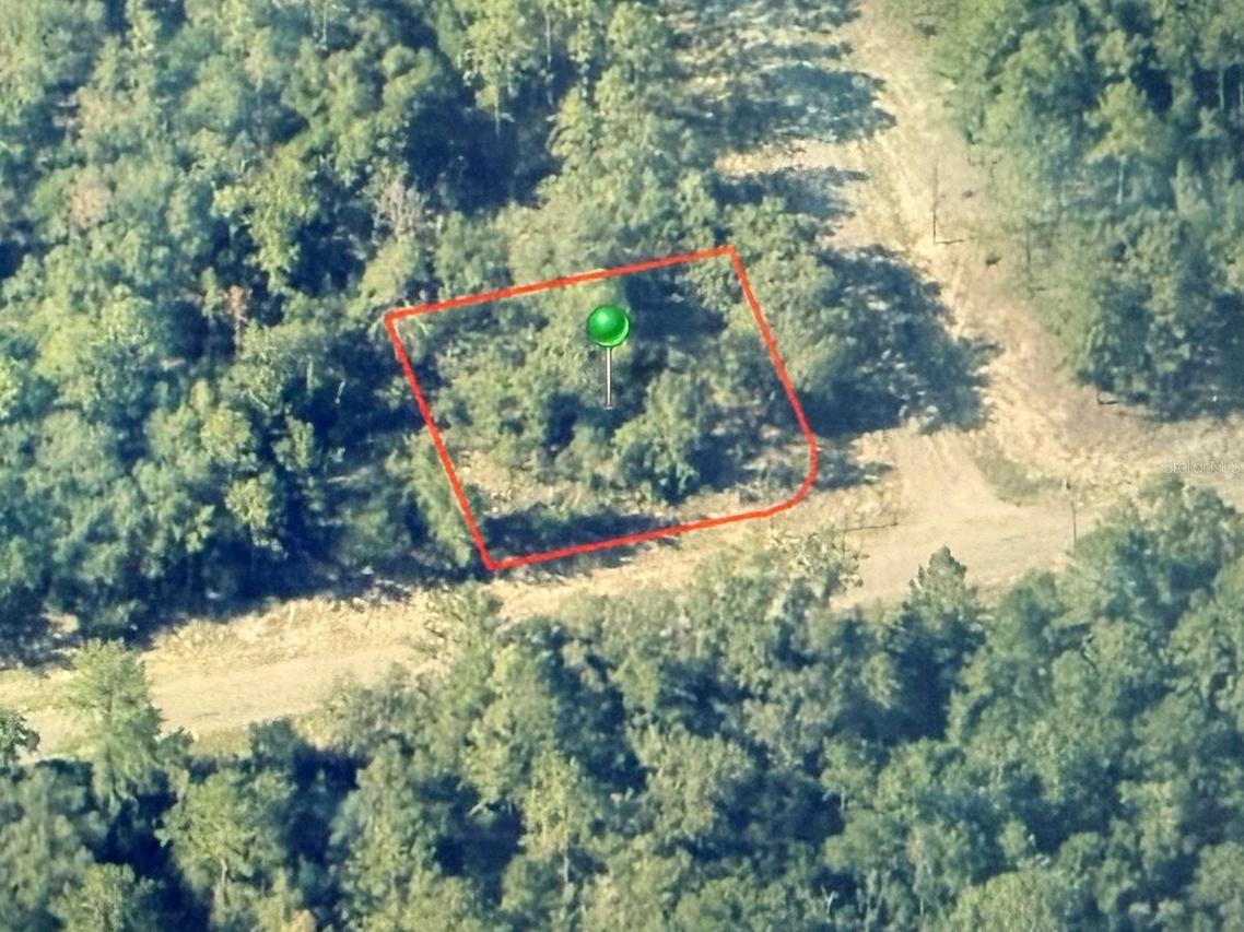 746 E Elston Pl., Citrus Springs, FL 34434