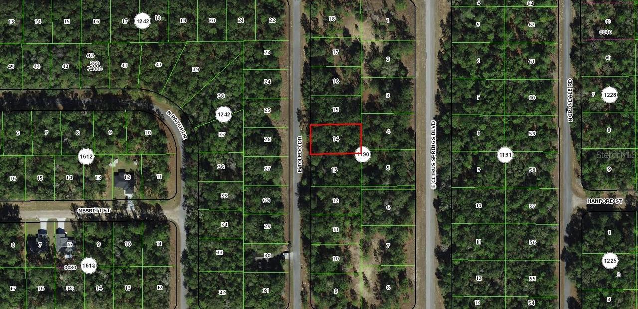 1273 E Toledo Dr., Dunnellon, FL 34434