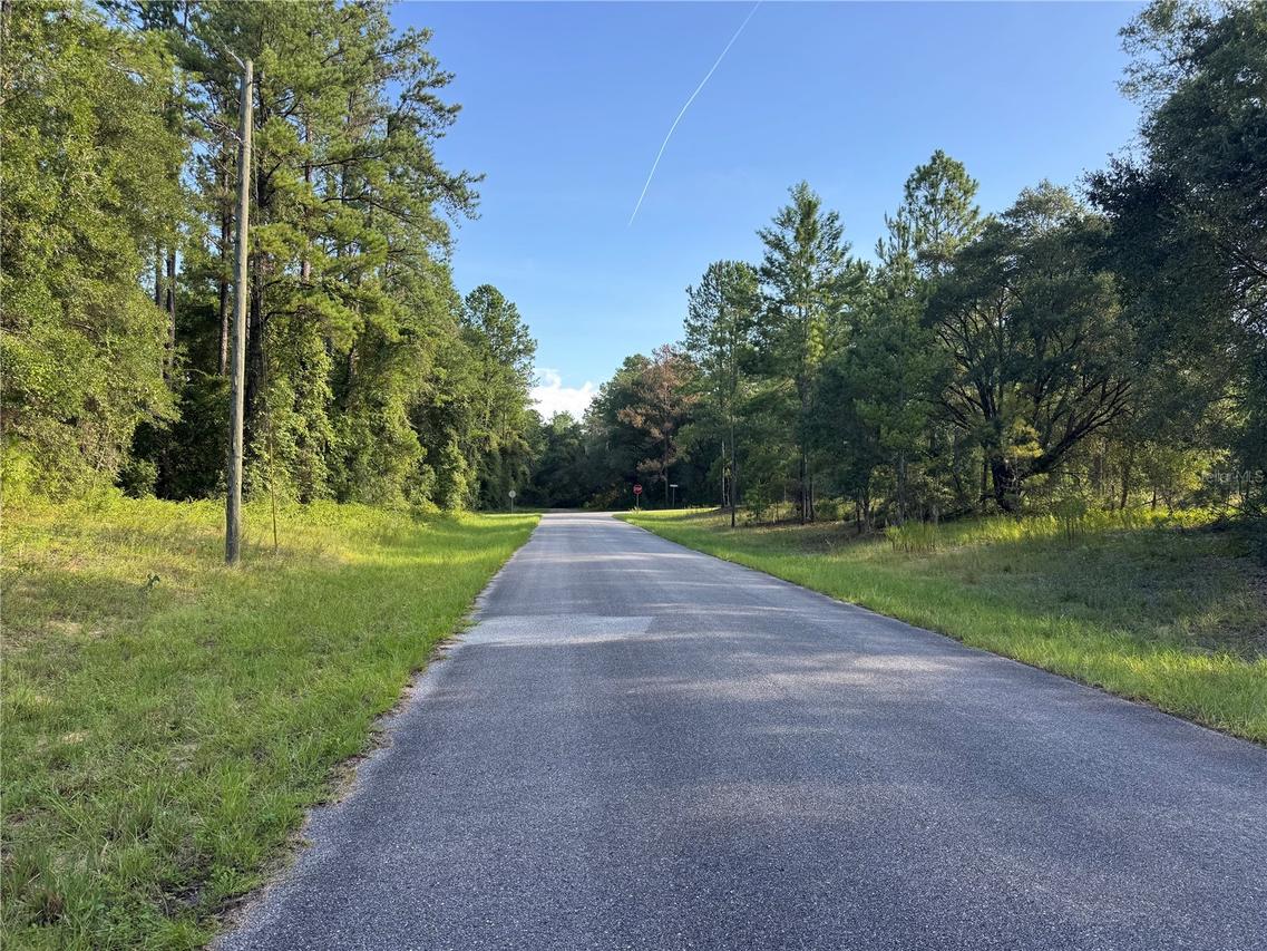 1273 E Toledo Dr., Dunnellon, FL 34434