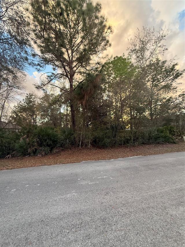 8 Mangrove Ct., Homosassa, FL 34446