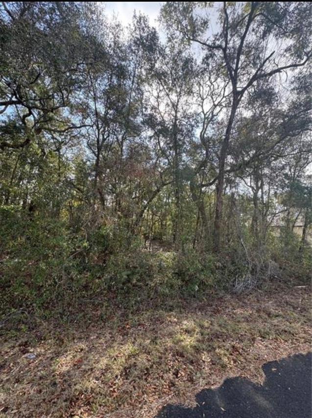TBD Locust Loop Ter., Ocala, FL 34472