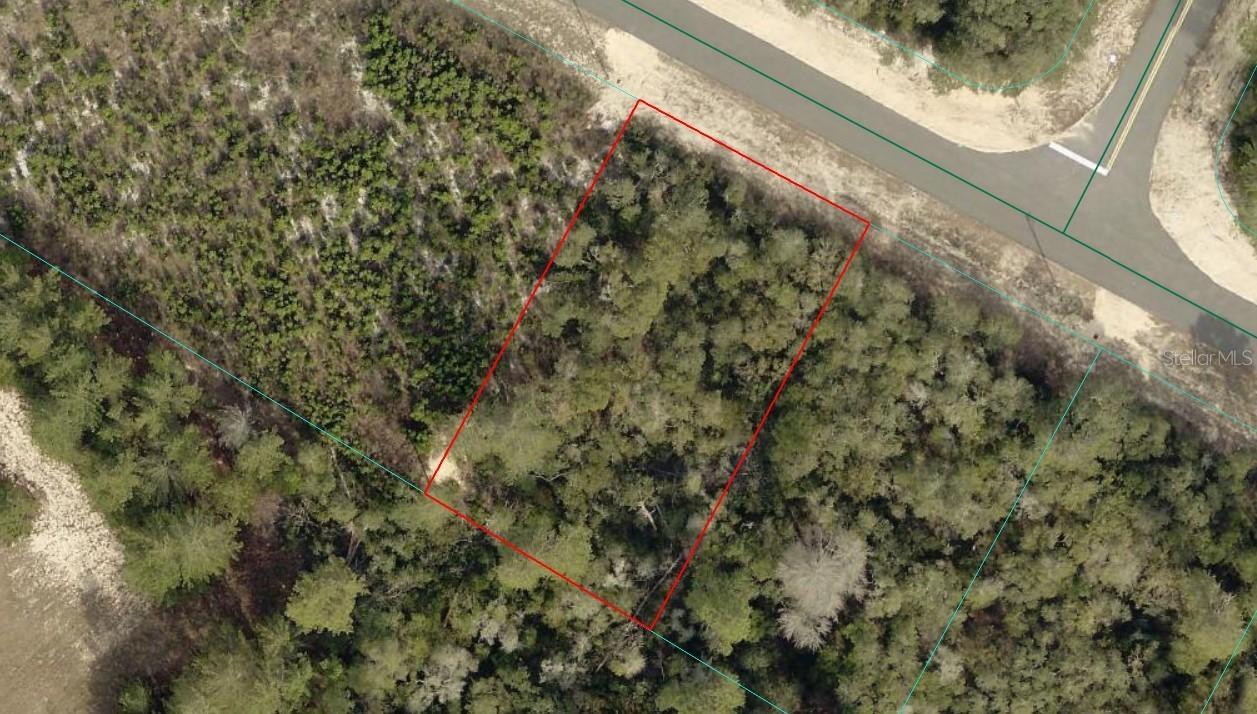TBD SW 29th Court Rd., Ocala, FL 34473