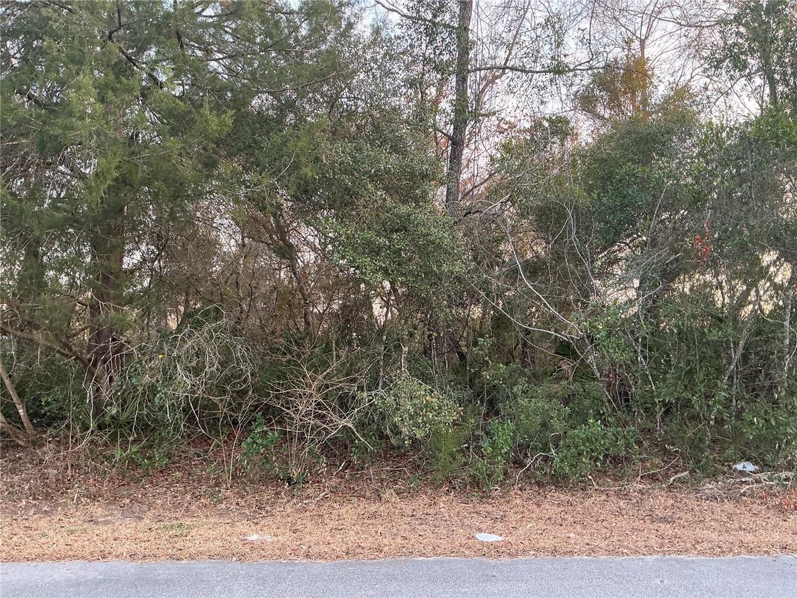 SW 138th St., Ocala, FL 34473