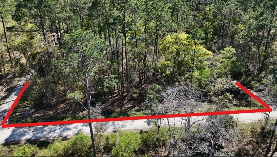 TBD NE 137th Pl., Citra, FL 32113