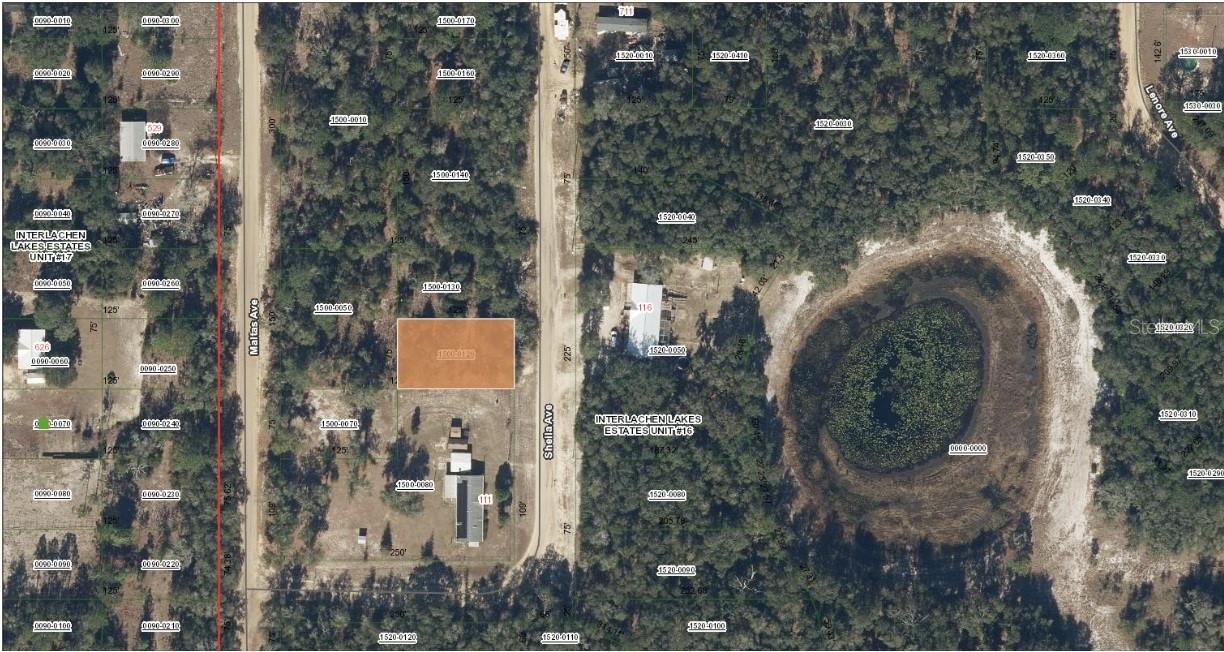 TBD Sheila Ave., Interlachen, FL 32148