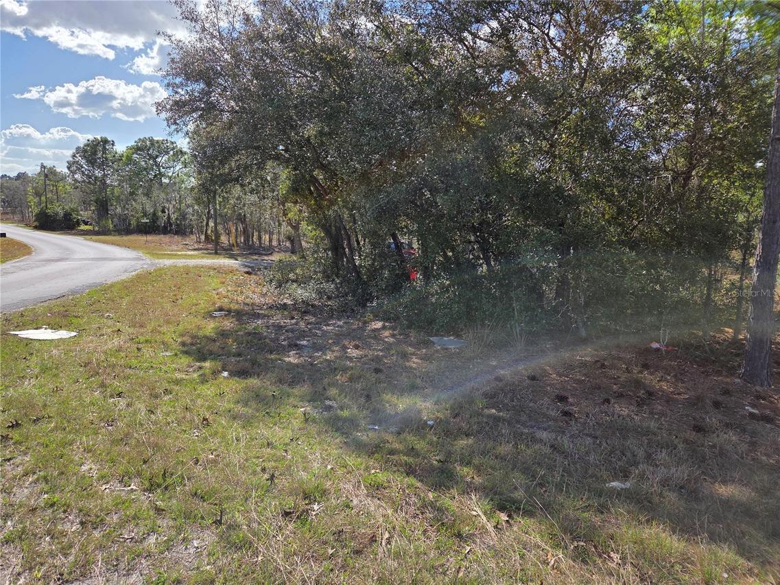 TBD NE 14th Pl., Williston, FL 32696