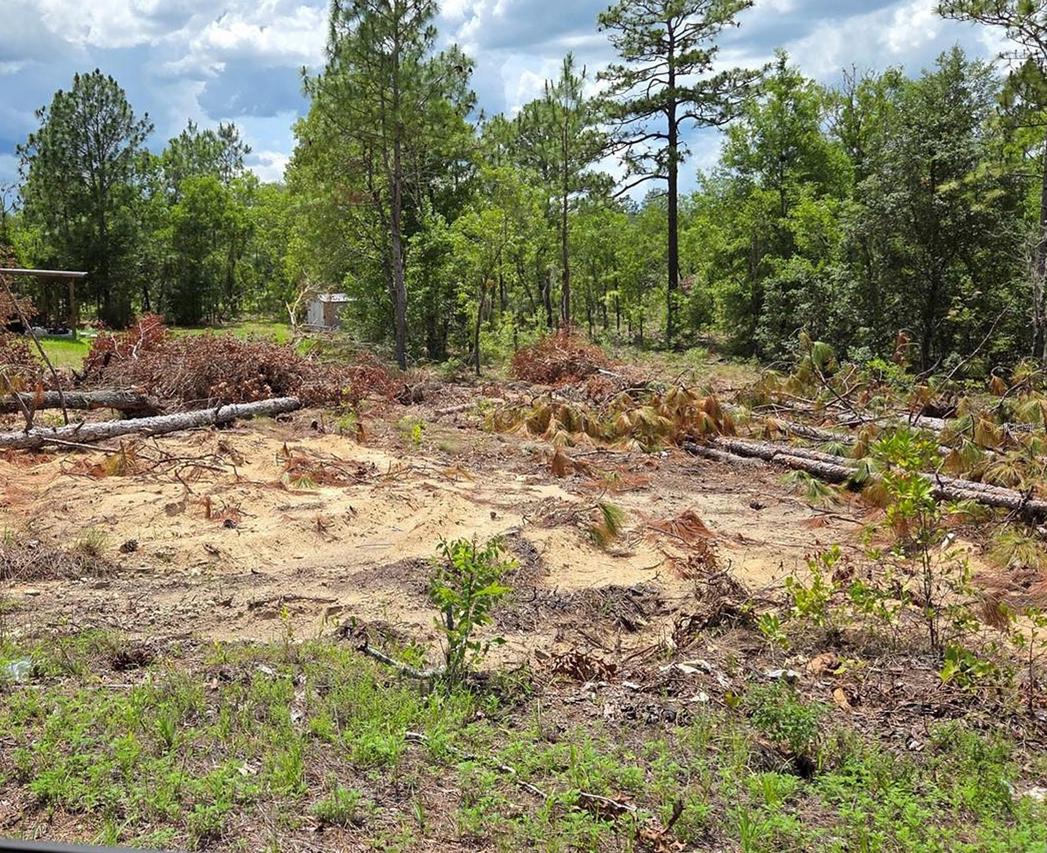 tbd NE 14th Pl., Williston, FL 32696