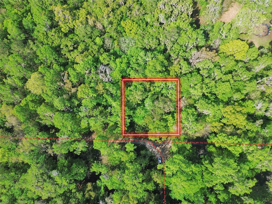 TBD SE 41st Terrace, Belleview, FL 34420