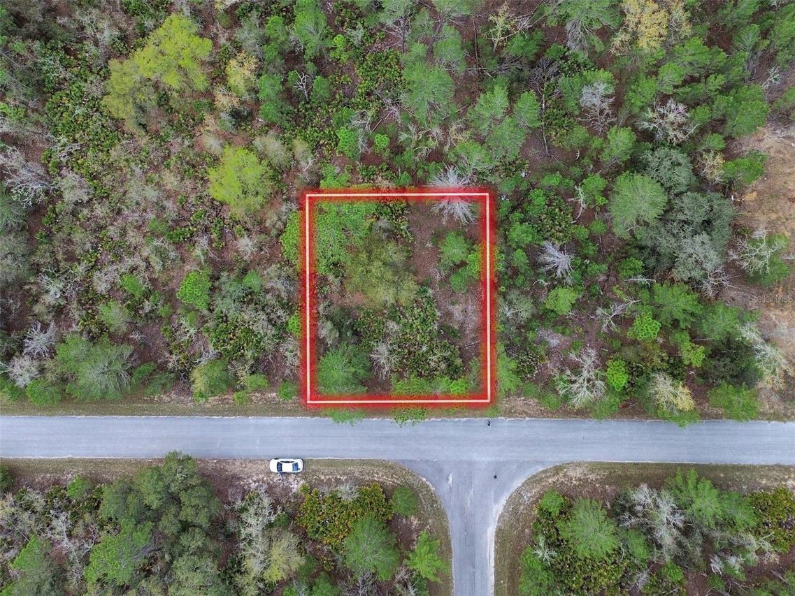 TBD Malauka Lane, Ocklawaha, FL 32179