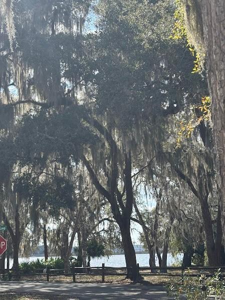 25146 NE 140th Loop #71, Salt Springs, FL 32134