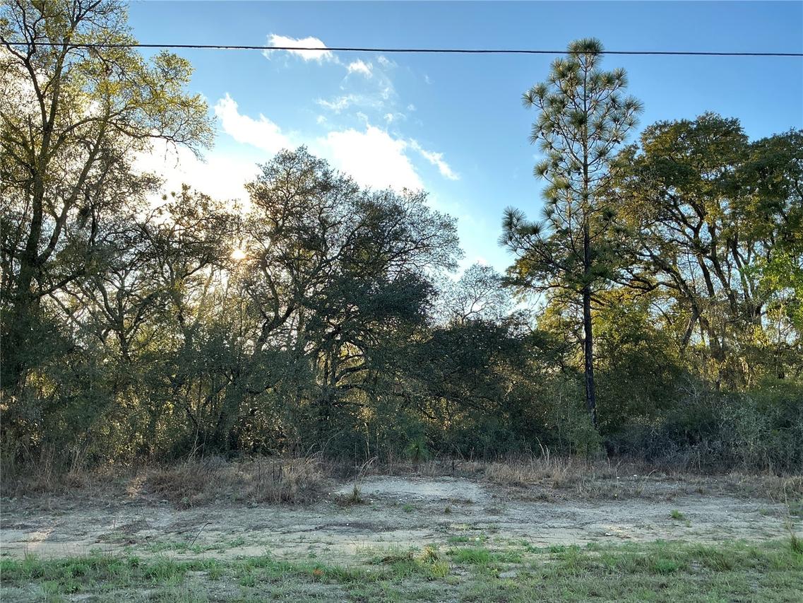 SW Azaleta Ct., Ocala, FL 34471