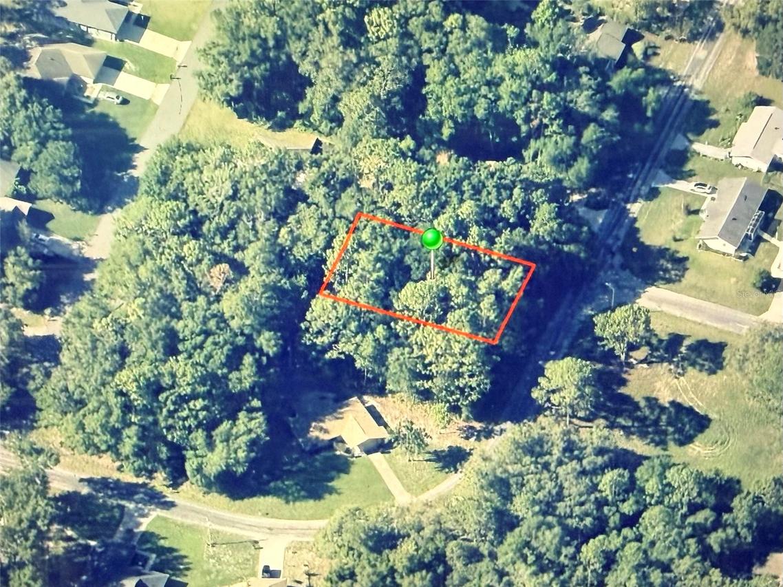 9948 N Sandree Dr., Citrus Springs, FL 34434