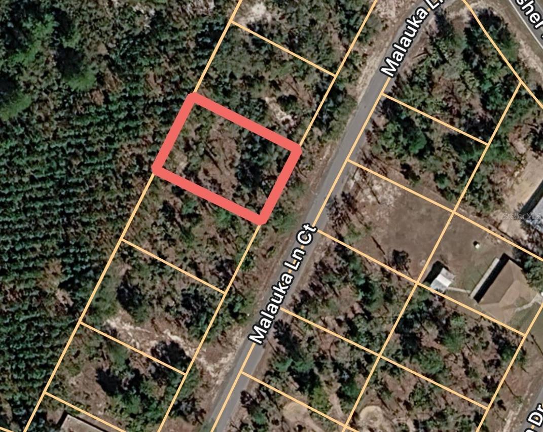 Malauka Lane Ct., Ocklawaha, FL 32179