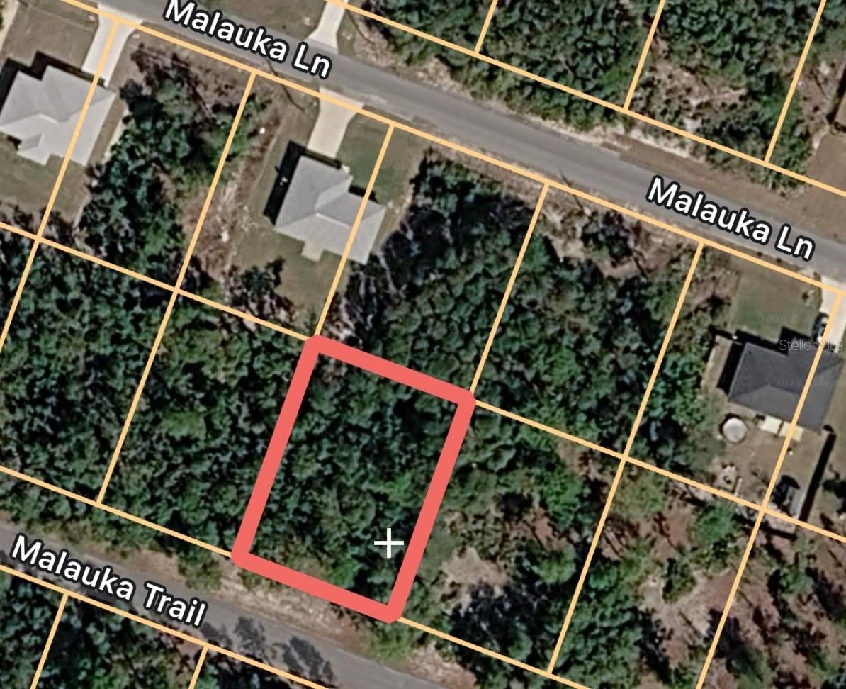 Malauka Tr., Ocklawaha, FL 32179