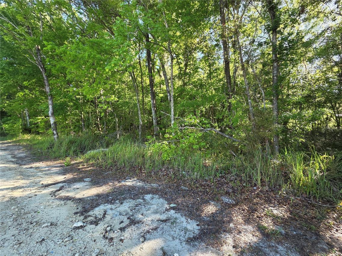 0000 SE 42nd Ct., Belleview, FL 34420
